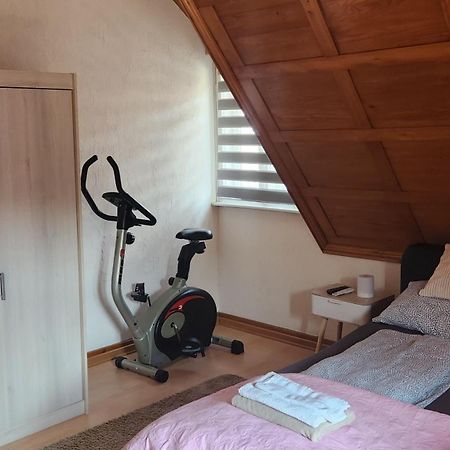 Ela Vital Ferienwohnung St. Blasien Extérieur photo