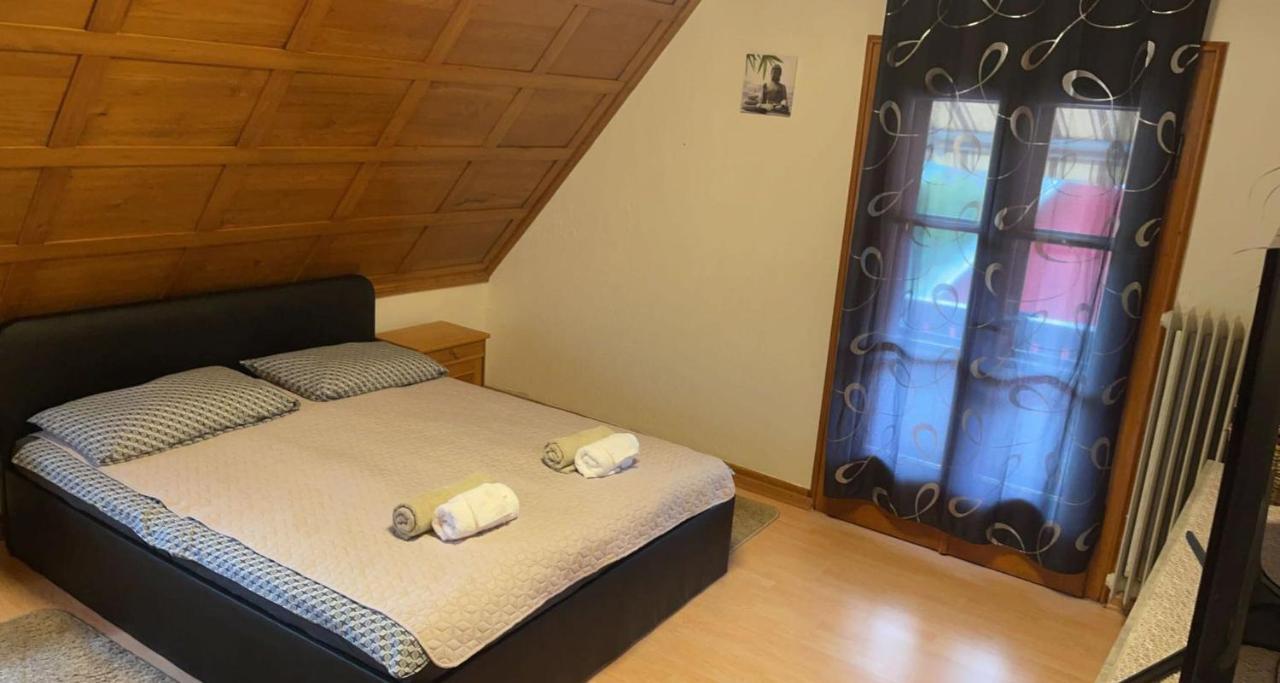Ela Vital Ferienwohnung St. Blasien Extérieur photo