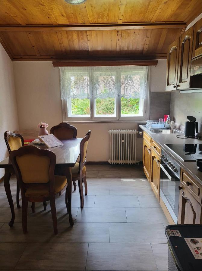 Ela Vital Ferienwohnung St. Blasien Extérieur photo